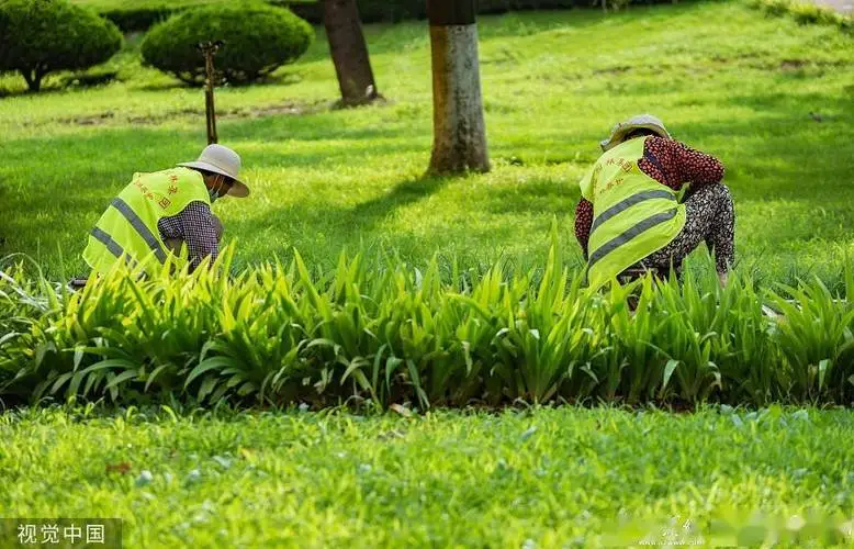 花园人造山水园林景观设计