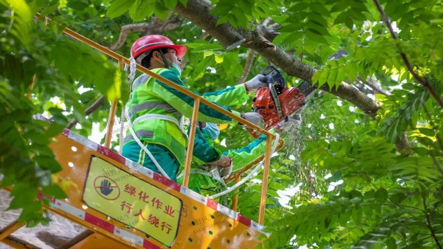 四川道路绿化工程承包商